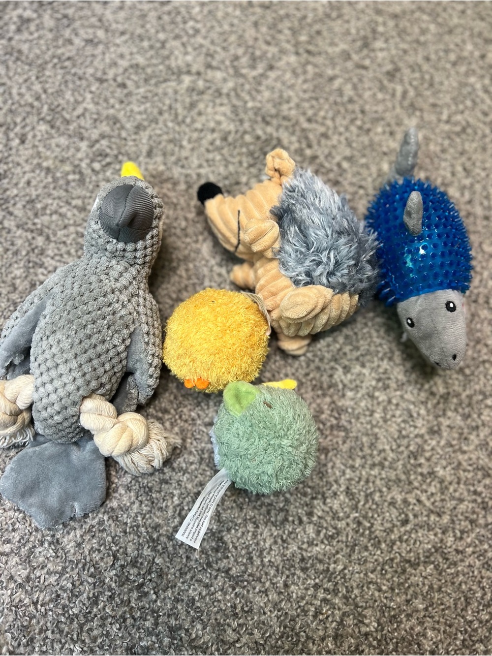 Pet Plush Toy Bundle - Gray, Yellow, Green, Blue Plush & Squeaky Toys